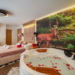 Serce Tatr Residence Zakopane - blisko Krupówek